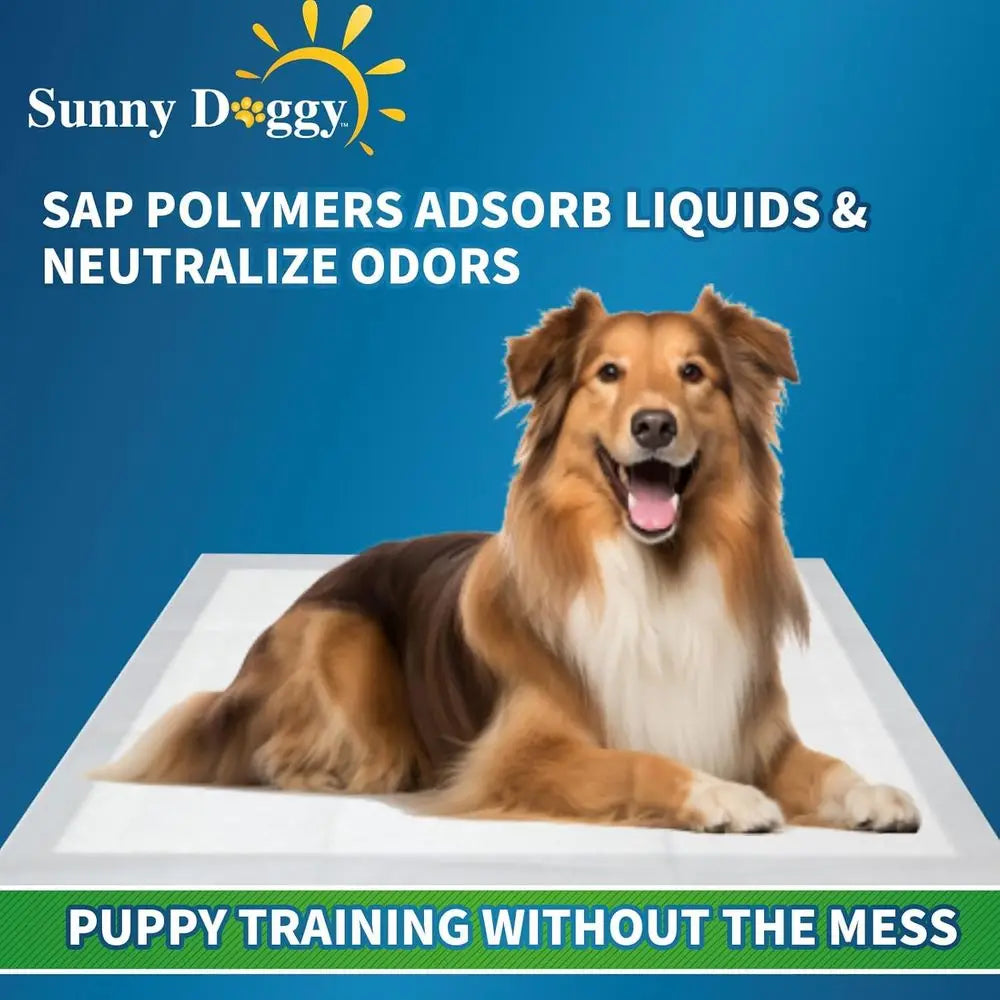 Disposable Absorbent Dog Pee Pads For Odor Control And Easy Use
