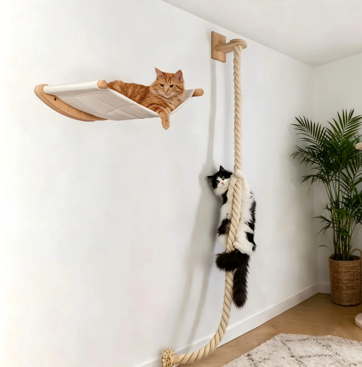 CWV Wall Mounted Cat Hammock With Climbing Shelves And Scratchers