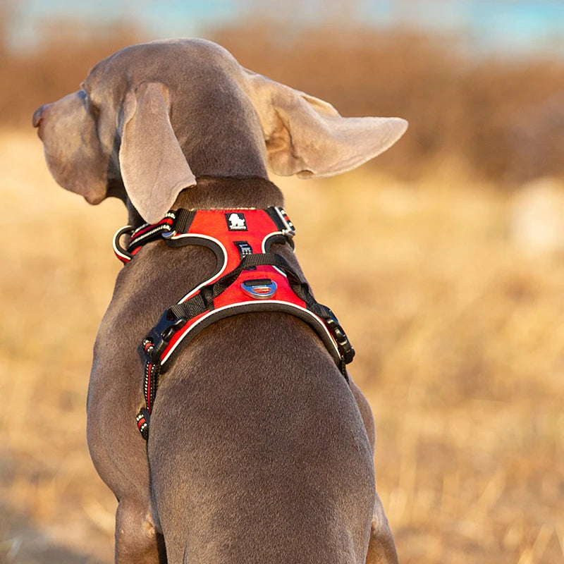 TrueLove Reflective Nylon Dog Harness Adjustable No Pull Design
