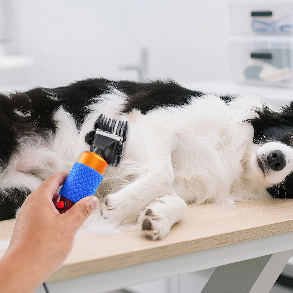 Electric Sheep And Goat Shearing Clipper For Animal Grooming
