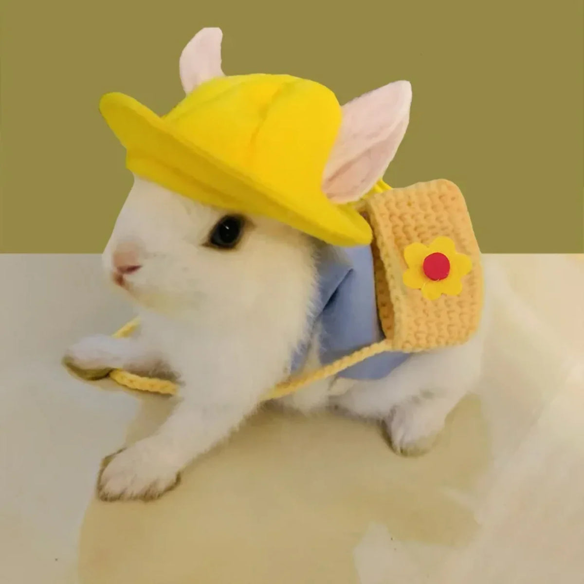 Small Animal Harness Leash Set For Outdoor Guinea Pigs