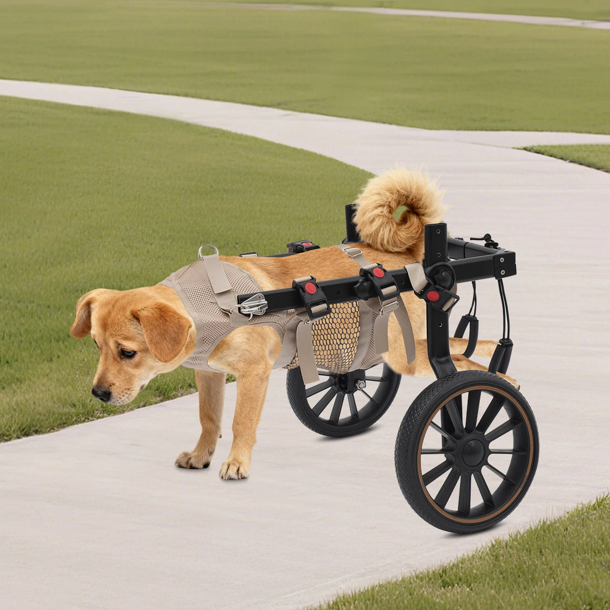 Bymaocar Dog Walking Aid Wheelchair For Senior And Disabled Pets