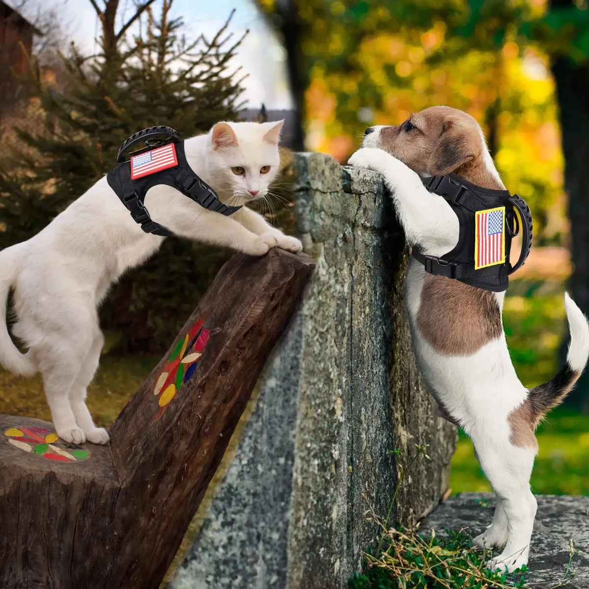 Tactical Adjustable Nylon Harness And Leash For Small Dogs