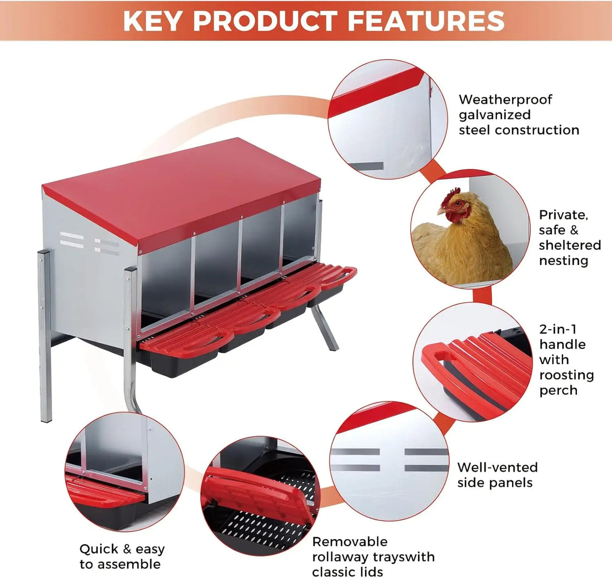 TWISTER.CK Automatic Roll Out Egg Collection Chicken Nesting Box