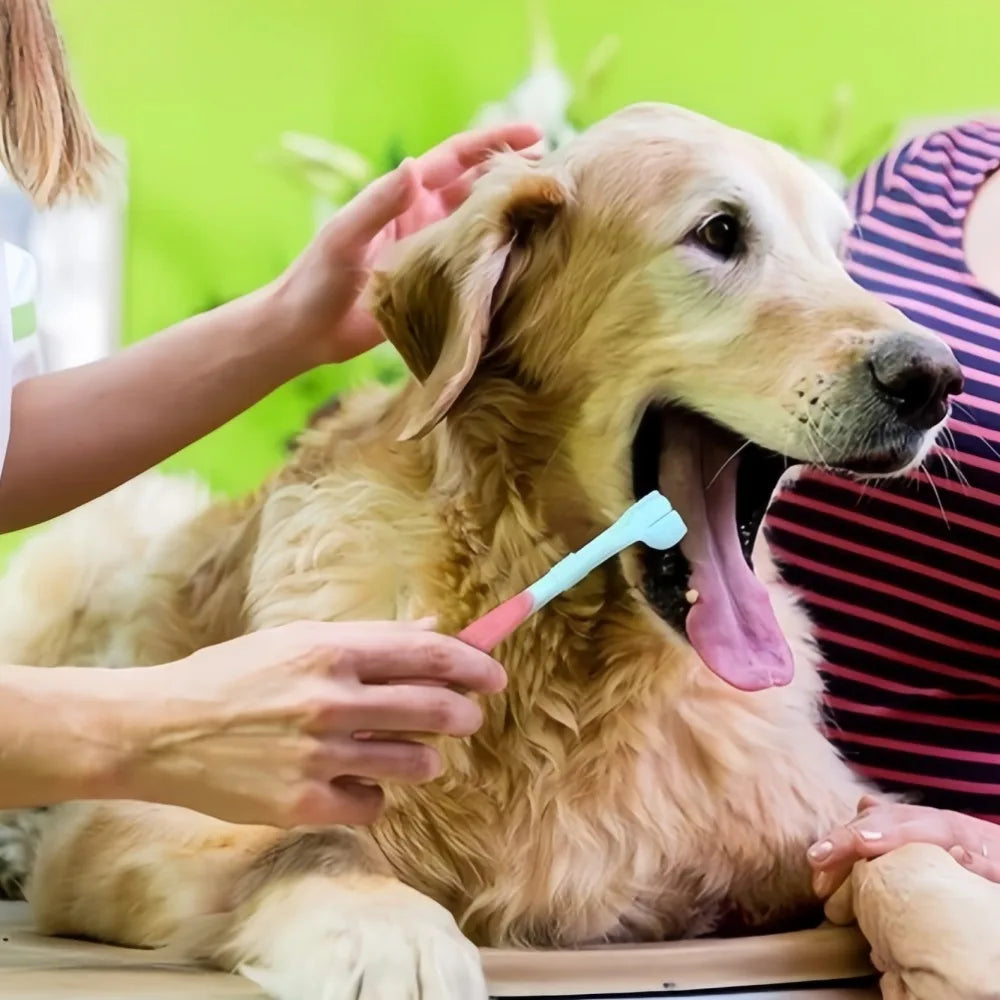 3-Sided Pet Toothbrush Cleans Teeth For Dogs And Cats