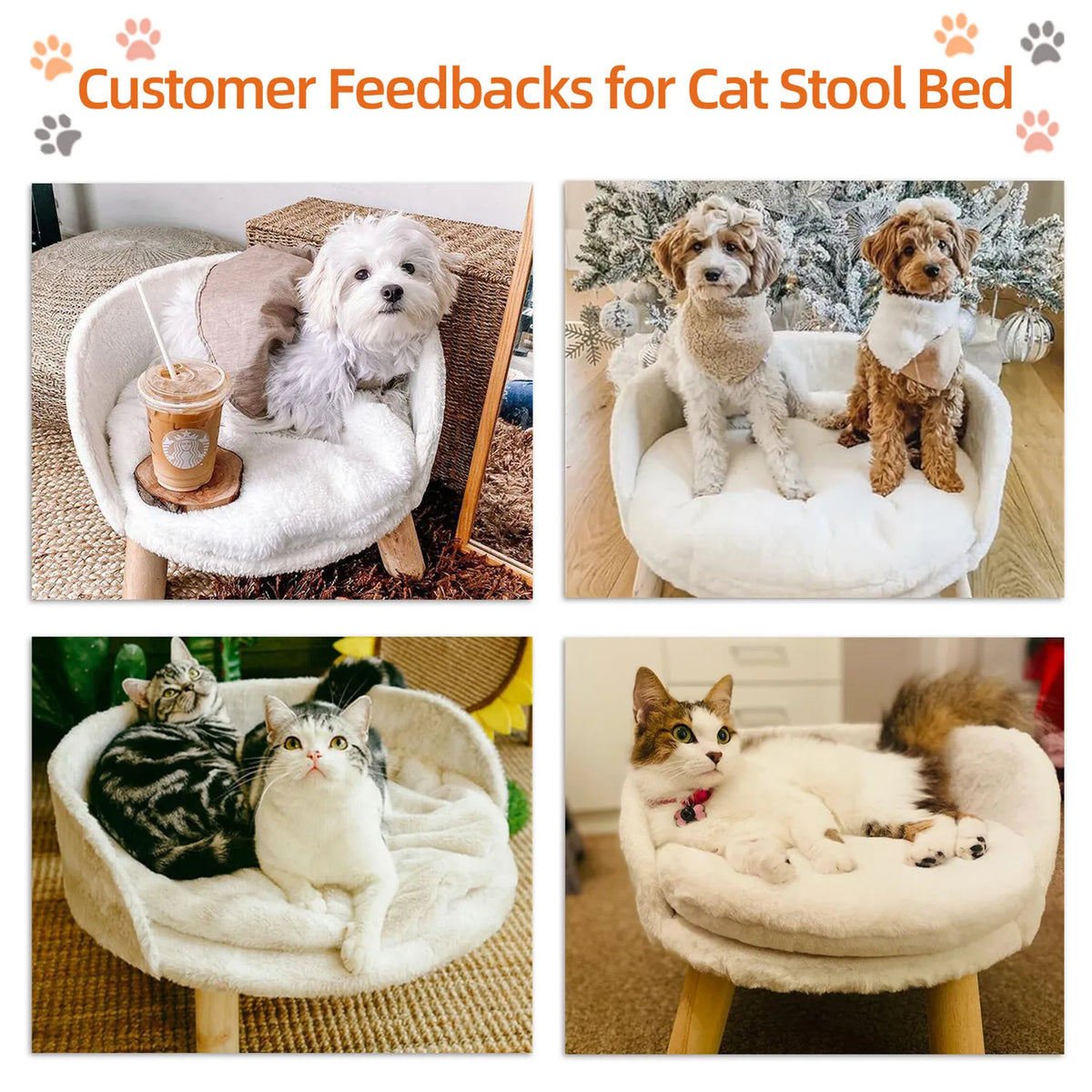 Bingopaw Raised Cat And Dog Sofa Bed With Removable Cushion