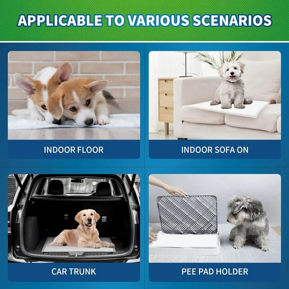 Disposable Absorbent Dog Pee Pads For Odor Control And Easy Use