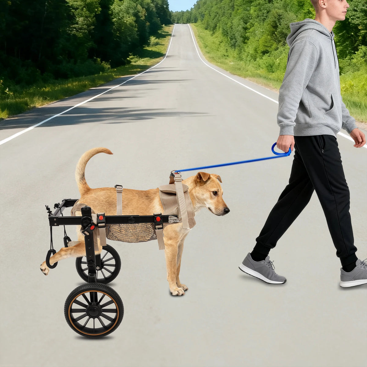 Bymaocar Dog Walking Aid Wheelchair For Senior And Disabled Pets