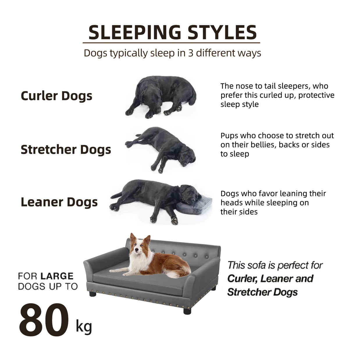 Bingopaw Premium Elevated Dog Sofa With Removable Cushion