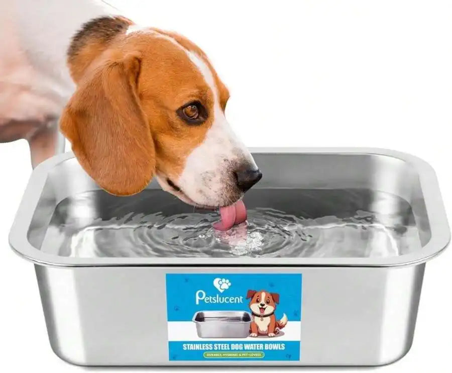 Stainless Steel Pet Bowl For Water And Food Prevents Spills
