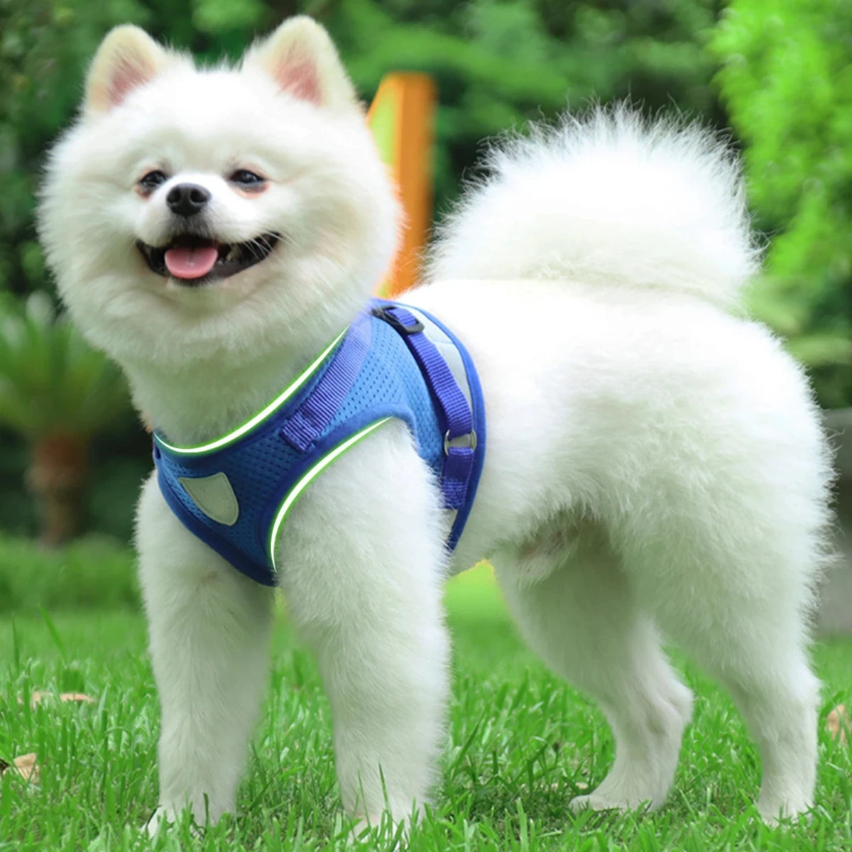 Reflective Adjustable Dog Harness With Safety Leash And Vest Set