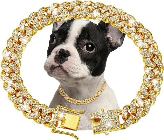 Jeweled Stainless Steel Chain Collar For Dogs And Cats