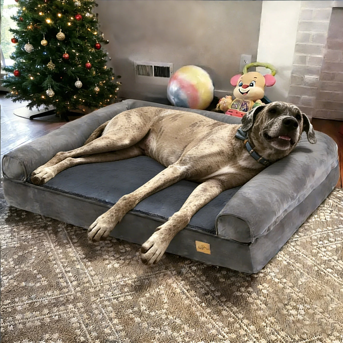 Borwart Orthopedic Memory Foam Dog Bed With Waterproof Plush Cover
