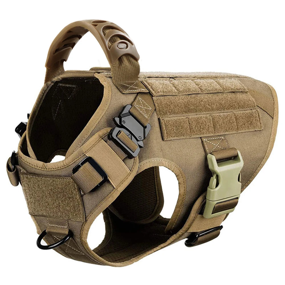 Nylon Padded Dog Harness And Leash Set With Quick Release