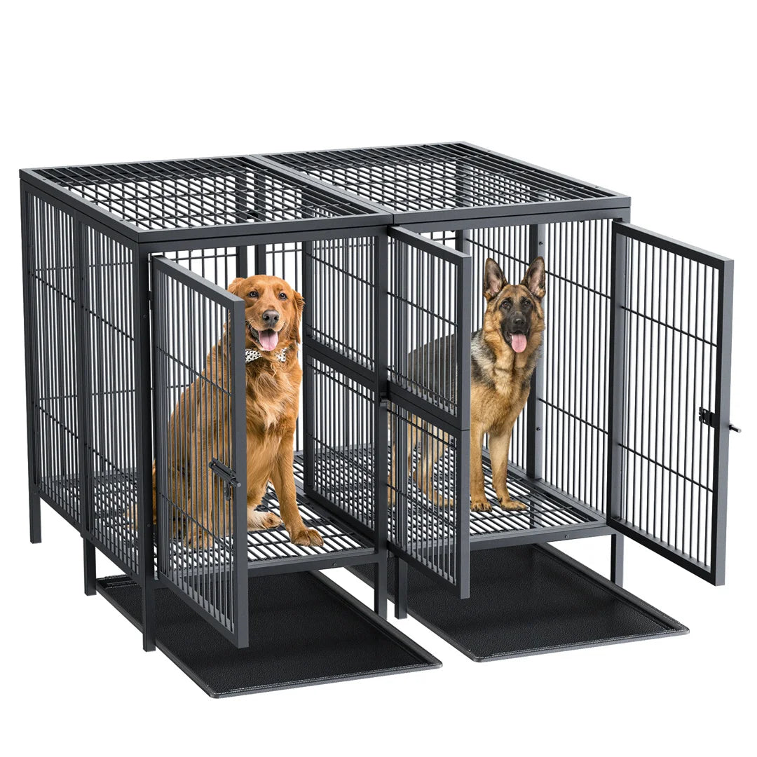 Bingopaw Double Metal Dog Cage Kennel With Removable Divider