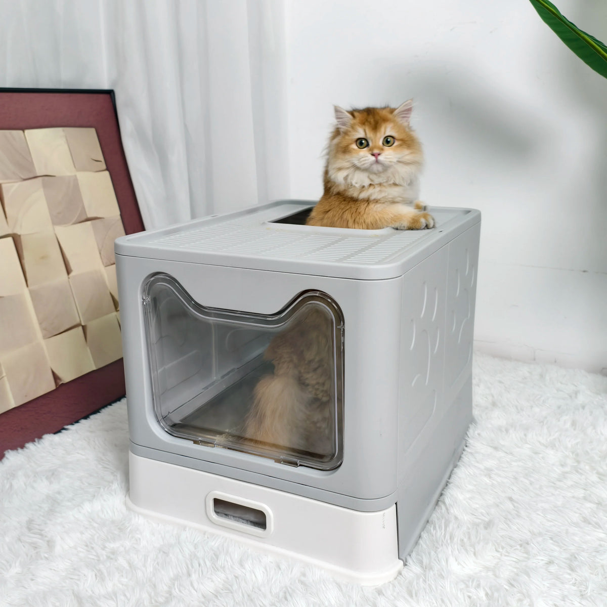 Totally Enclosed Cat Litter Box With Lid Scoop For Pets