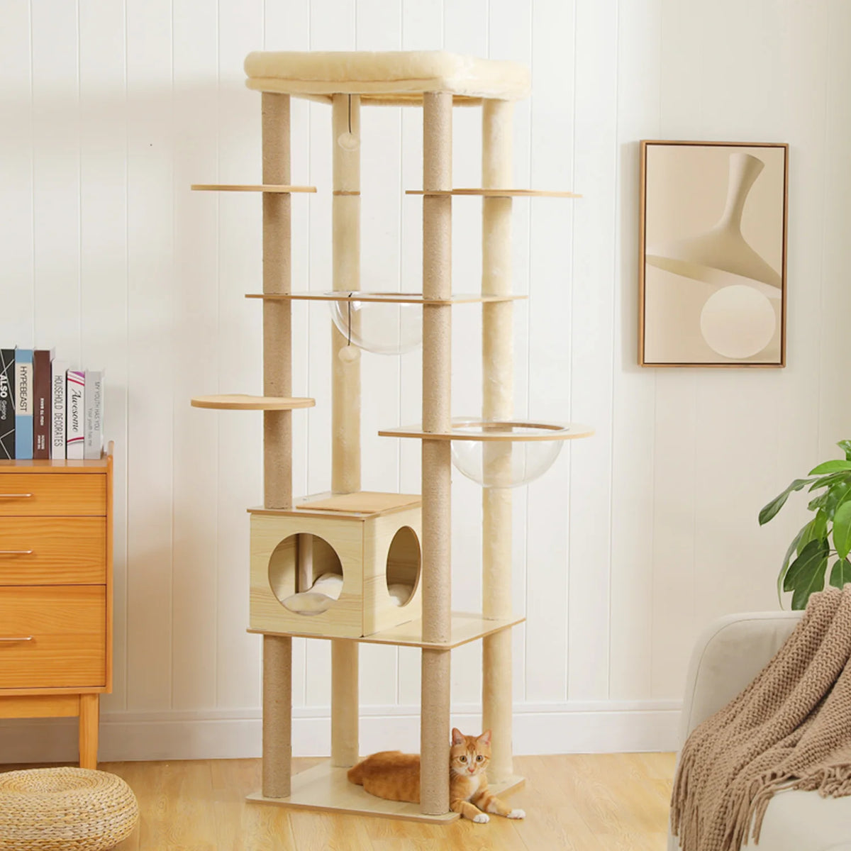 PAWZ Multi Level Cat Condo With Scratching Posts And Hammock