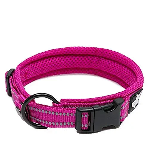 TrueLove Adjustable Nylon Dog Collar Padded Reflective Heavy Duty Webbing