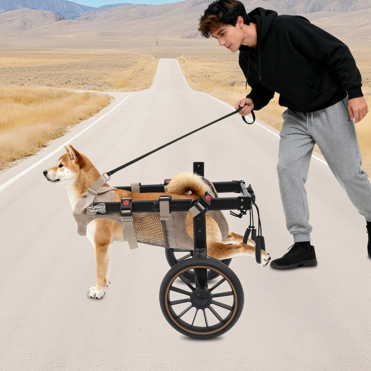 Bymaocar Adjustable Dog Wheelchair Rehabilitation Walking Support Cart