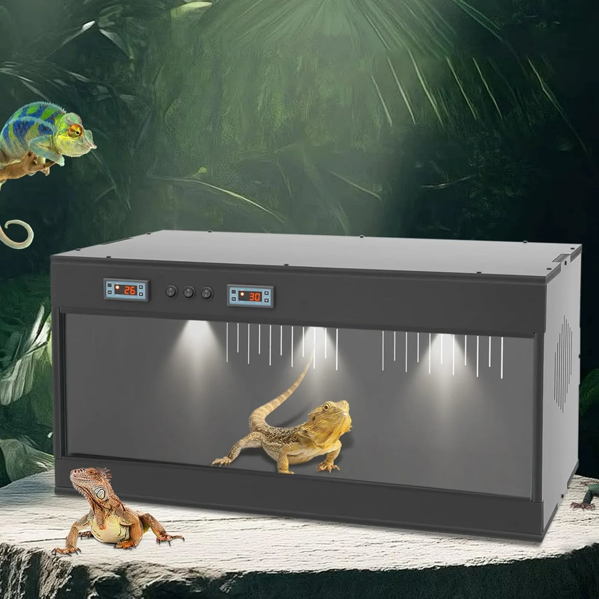 Front Opening PVC Reptile Terrarium With Dual Temperature Controller