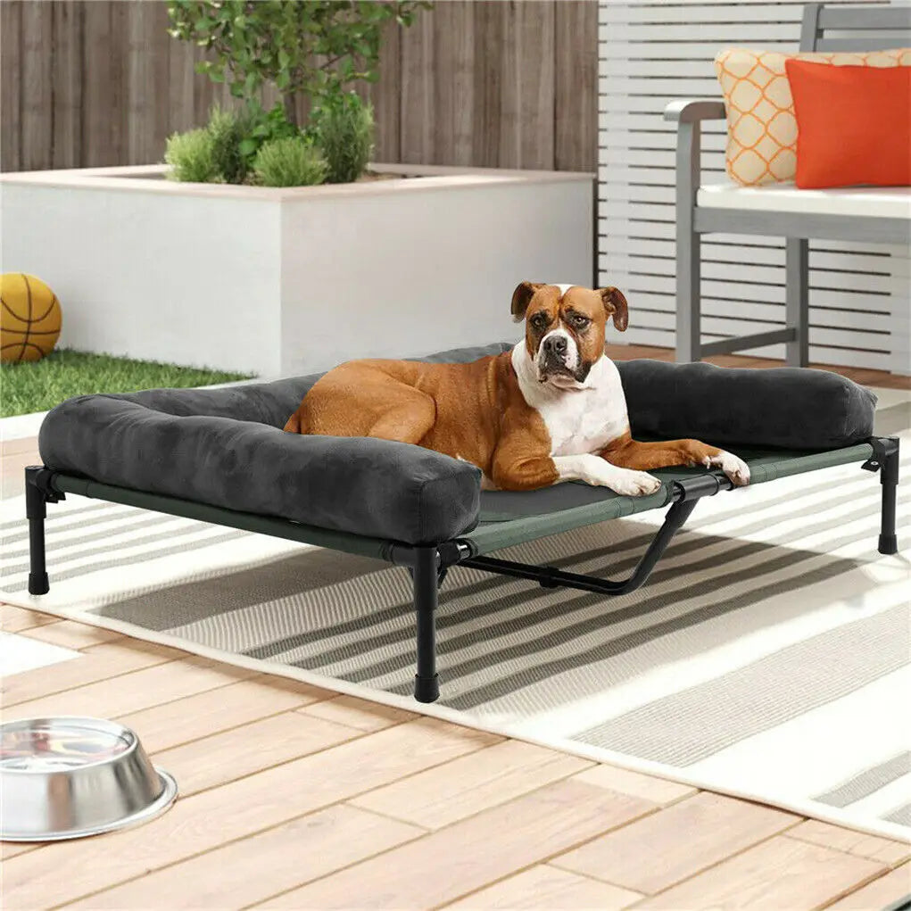 Bingopaw Elevated Dog Bed With Breathable Mesh And Plush Bolster