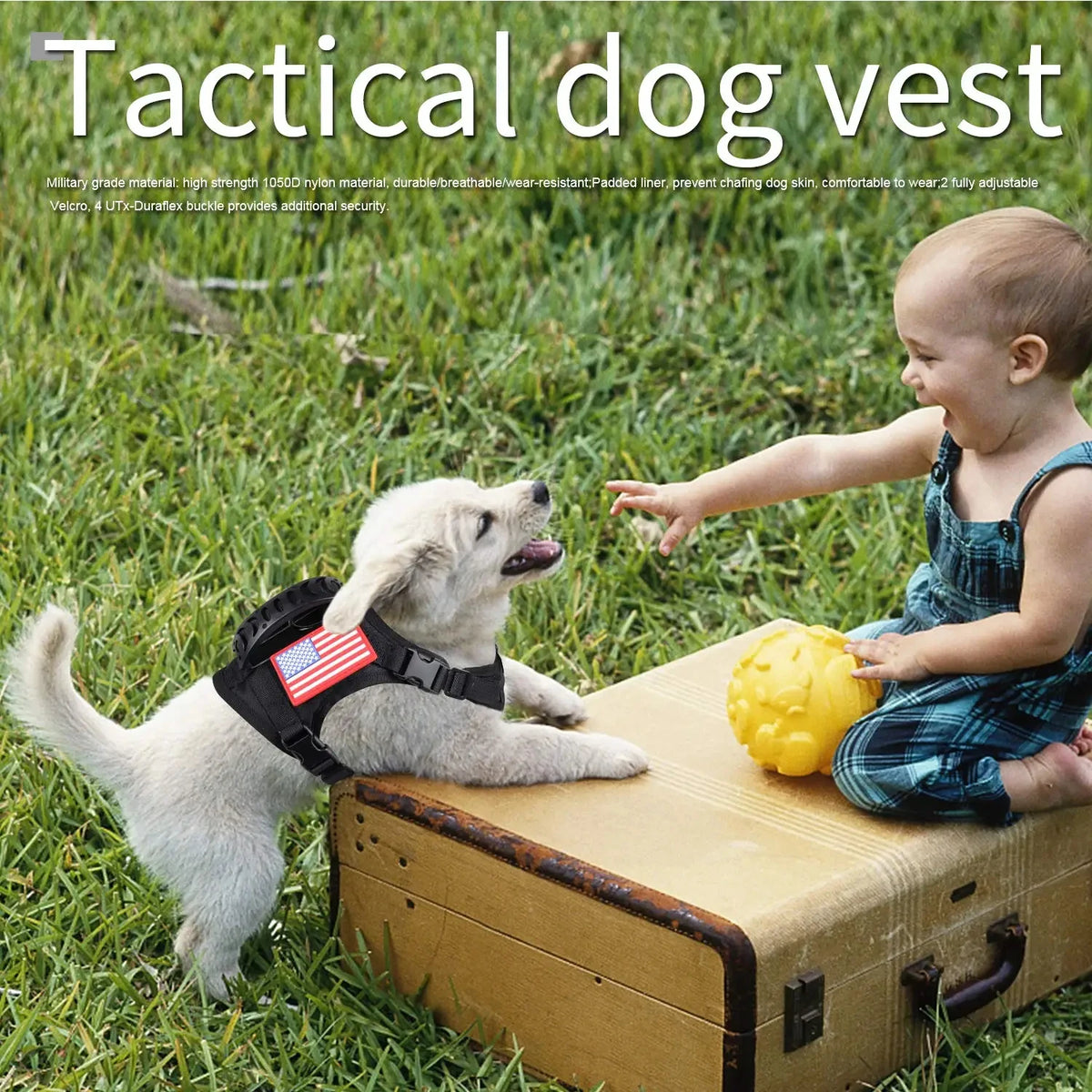 Tactical Adjustable Nylon Harness And Leash For Small Dogs