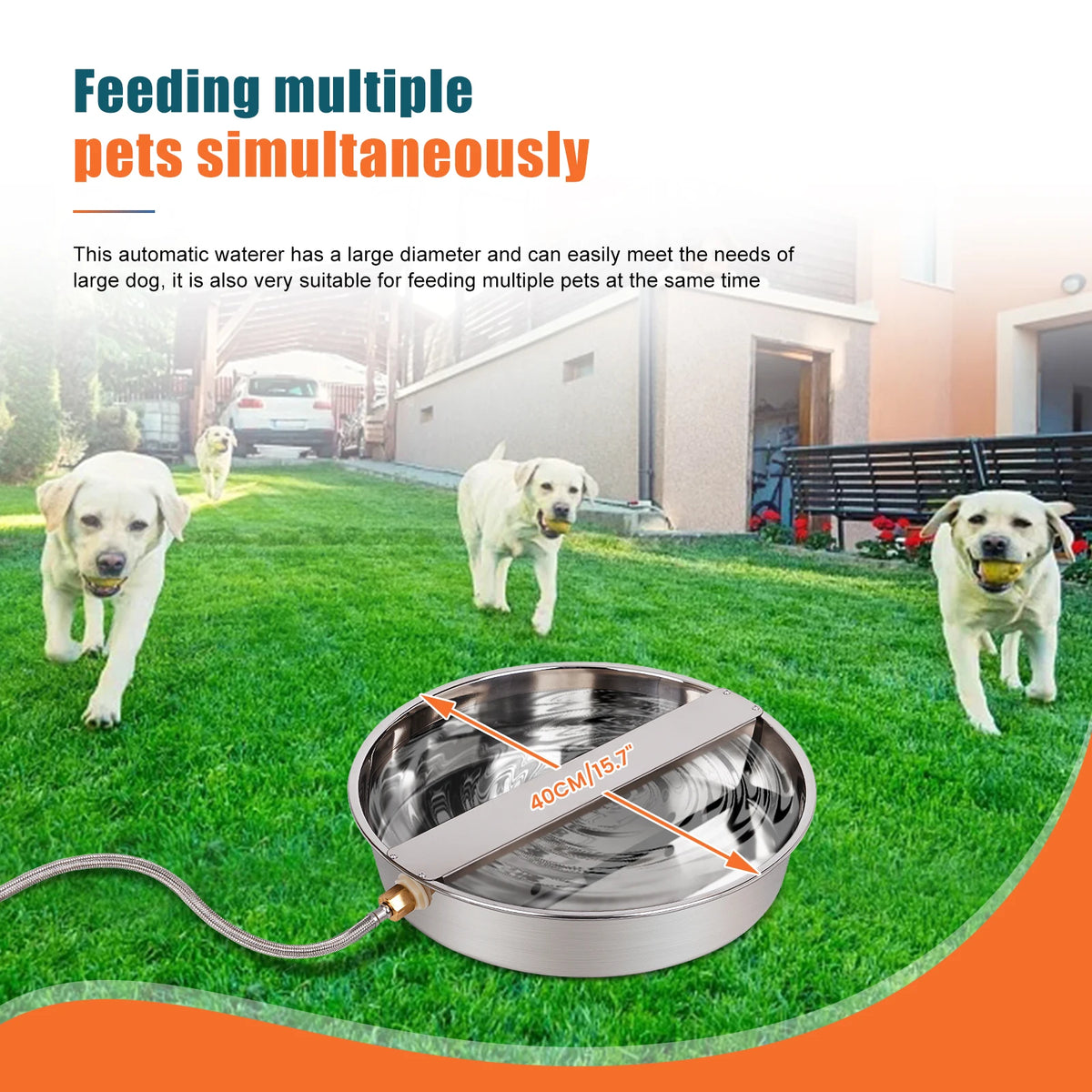 Stainless Steel Automatic Dog Water Dispenser And Hose