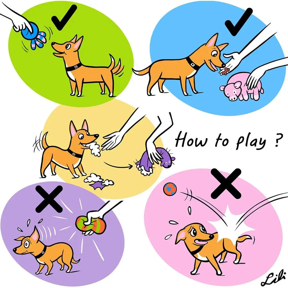 Squeaky Latex Puppy Toys Interactive Dog Fetch Play Set