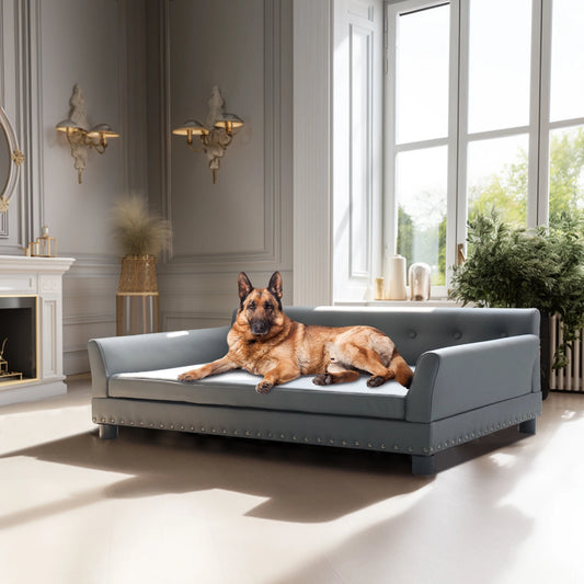 BINGOPAW Leather Comfortable Elevated Dog Sofa Bed With Cushion