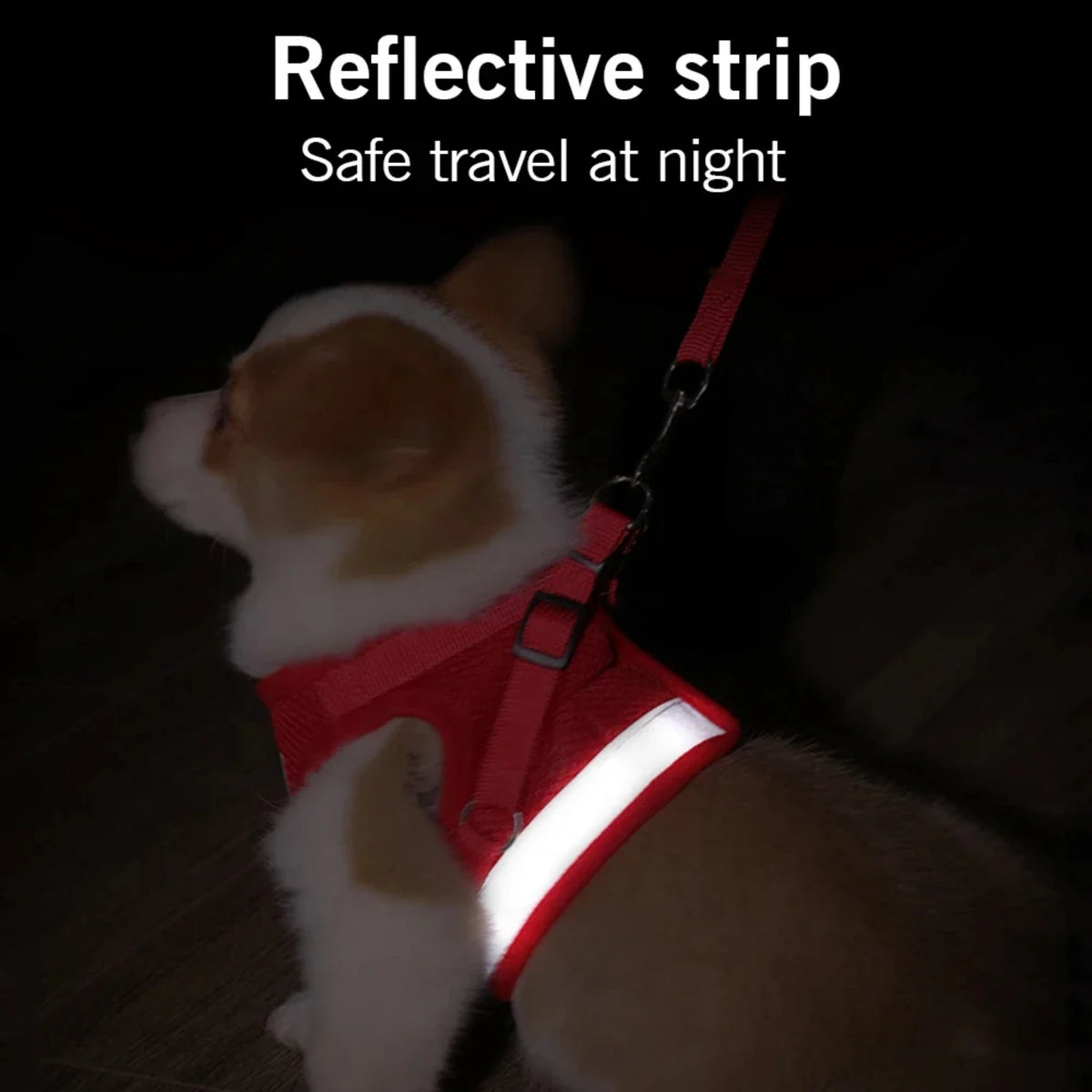 Reflective Adjustable Dog Harness With Safety Leash And Vest Set
