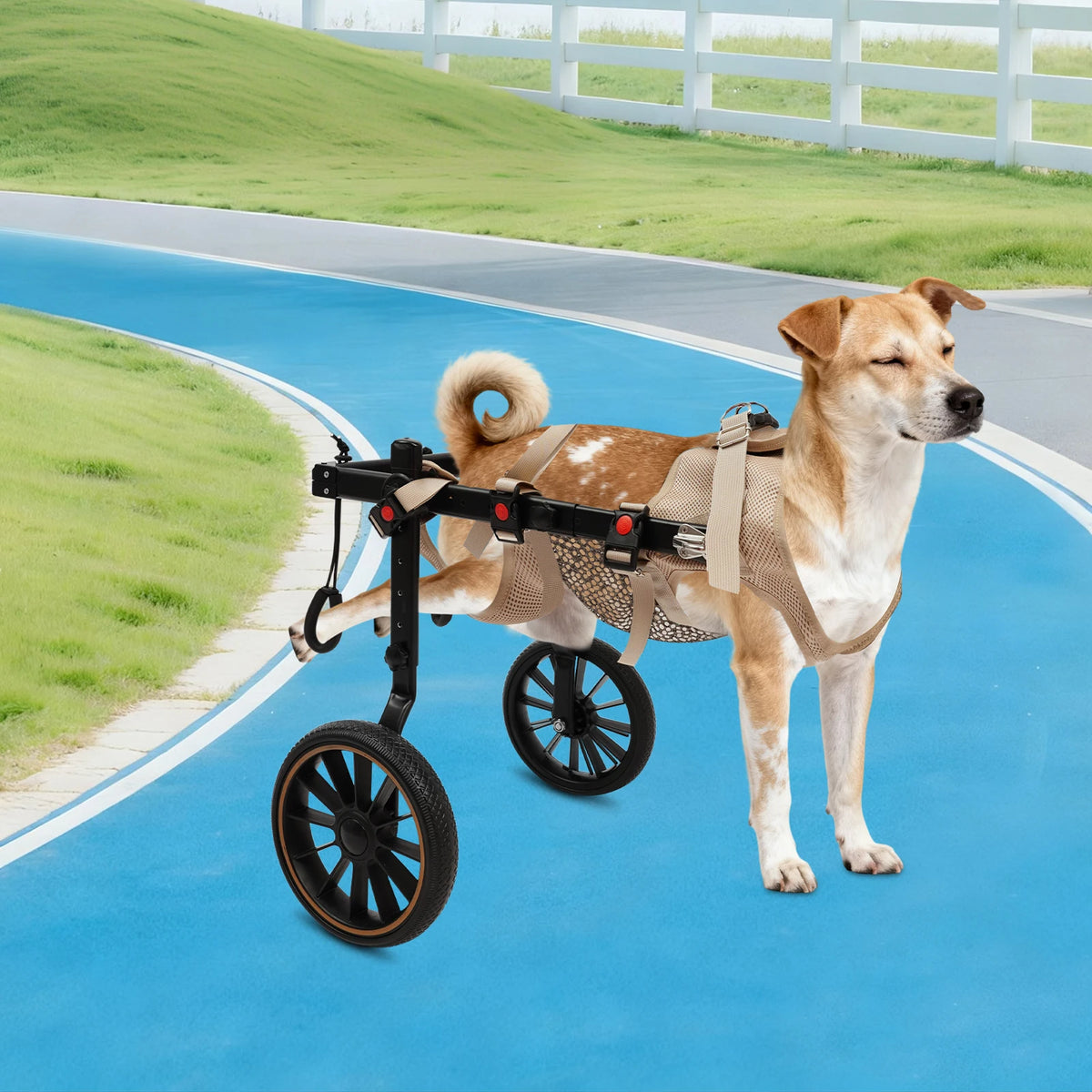 Bymaocar Dog Walking Aid Wheelchair For Senior And Disabled Pets