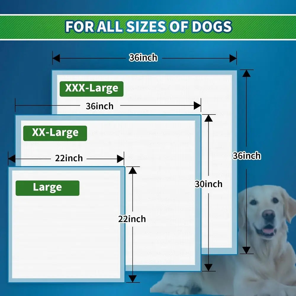 Disposable Absorbent Dog Pee Pads For Odor Control And Easy Use