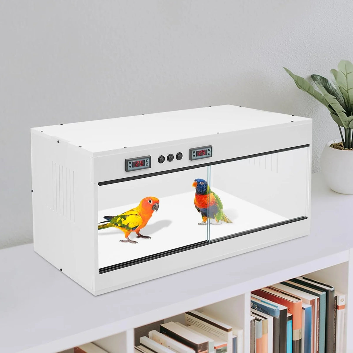 Front Opening PVC Reptile Terrarium With Dual Temperature Controller