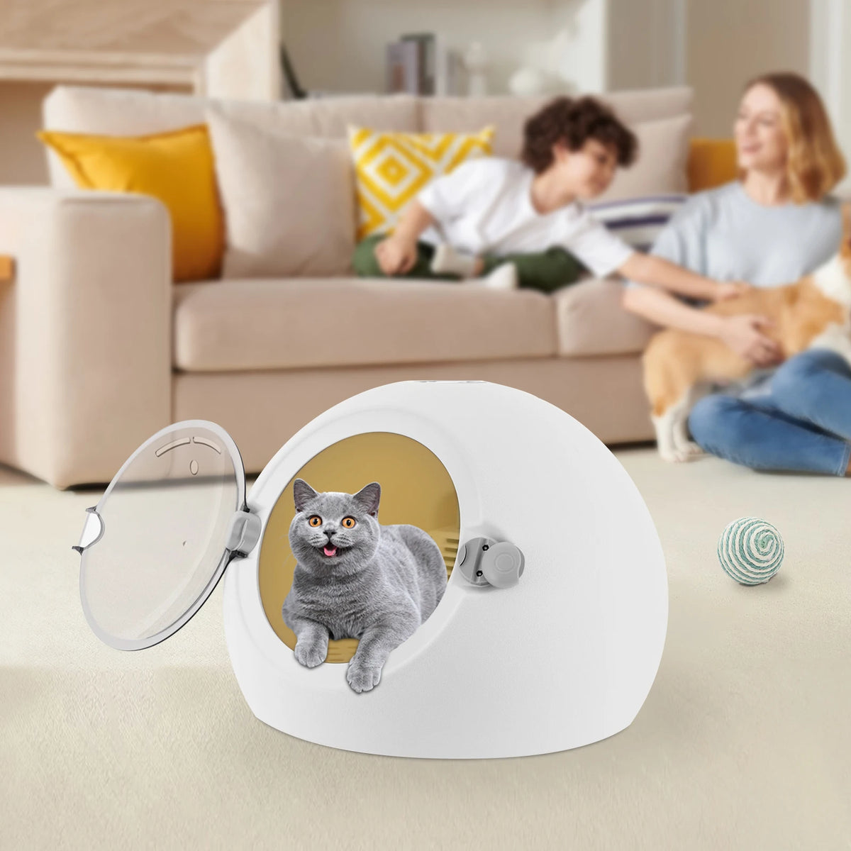 Professional Portable 600W Pet Dryer Box For Dogs And Cats