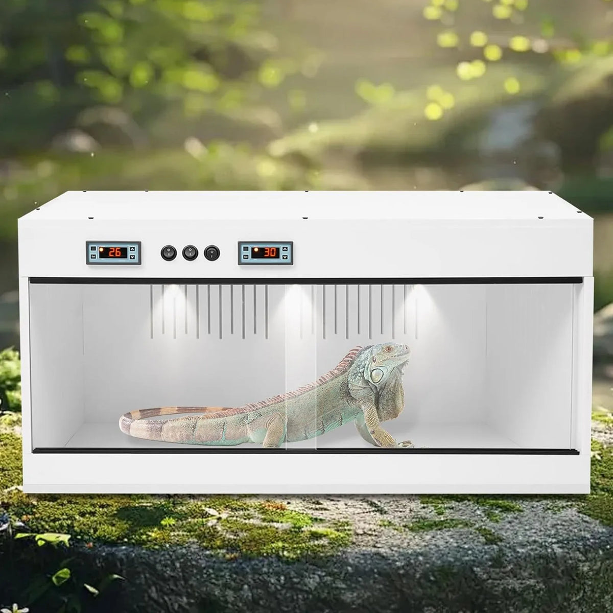 Front Opening PVC Reptile Terrarium With Dual Temperature Controller