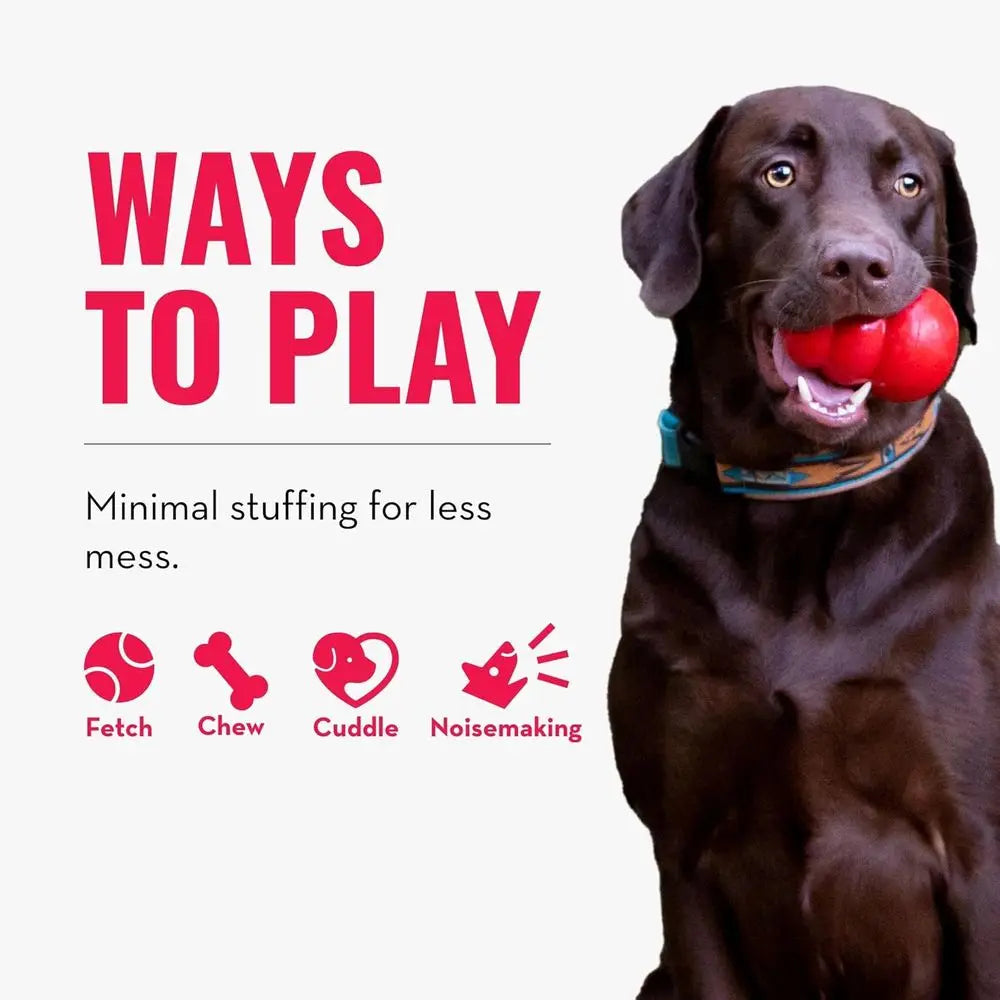 Durable Knotted Rope Plush Bear Dog Toy For Active Chewers