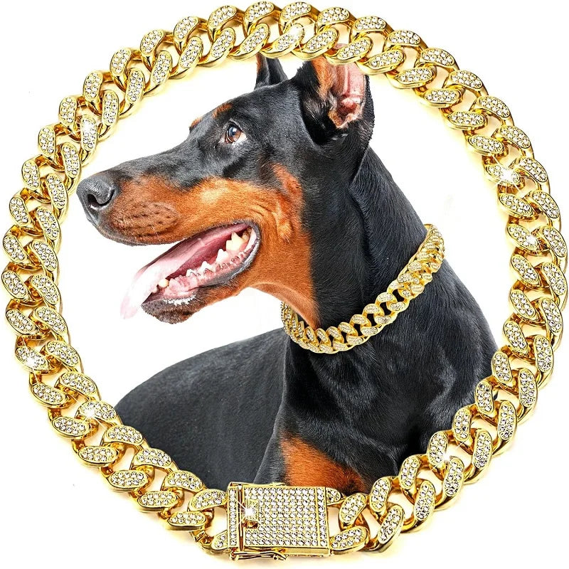 Jeweled Stainless Steel Chain Collar For Dogs And Cats