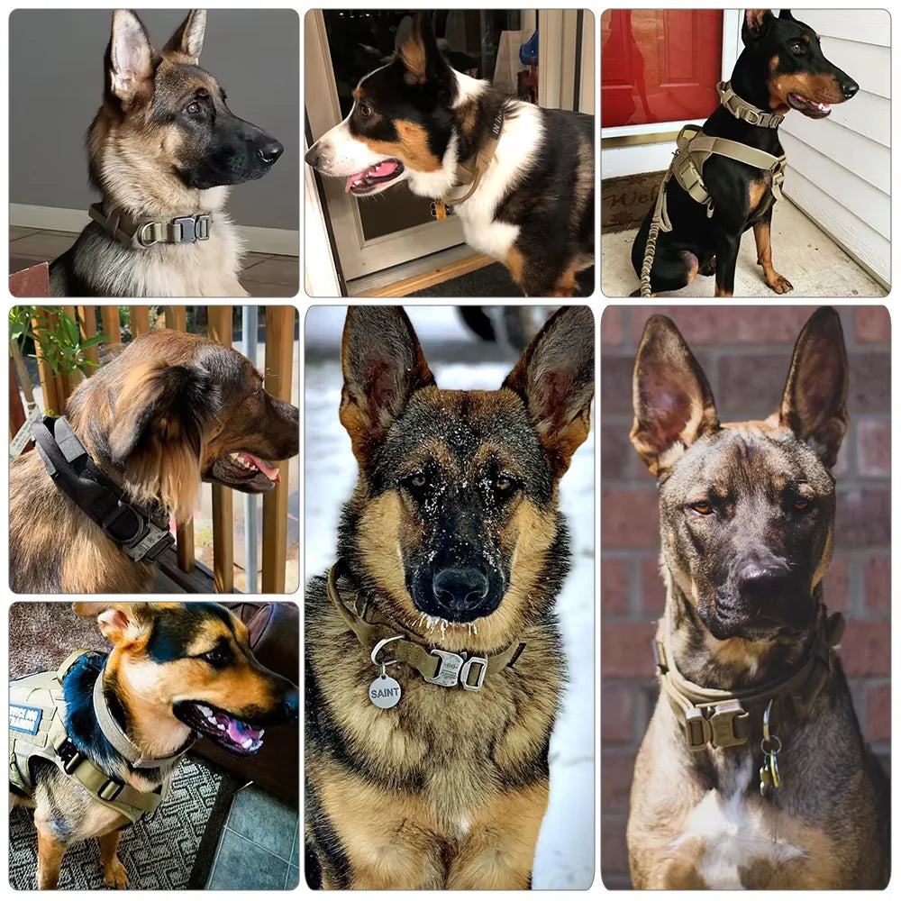 Breathable Padded Tactical Dog Harness And Nylon Collar Set