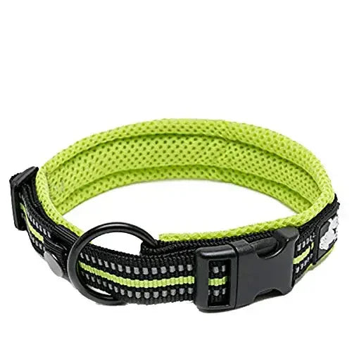 TrueLove Adjustable Nylon Dog Collar Padded Reflective Heavy Duty Webbing