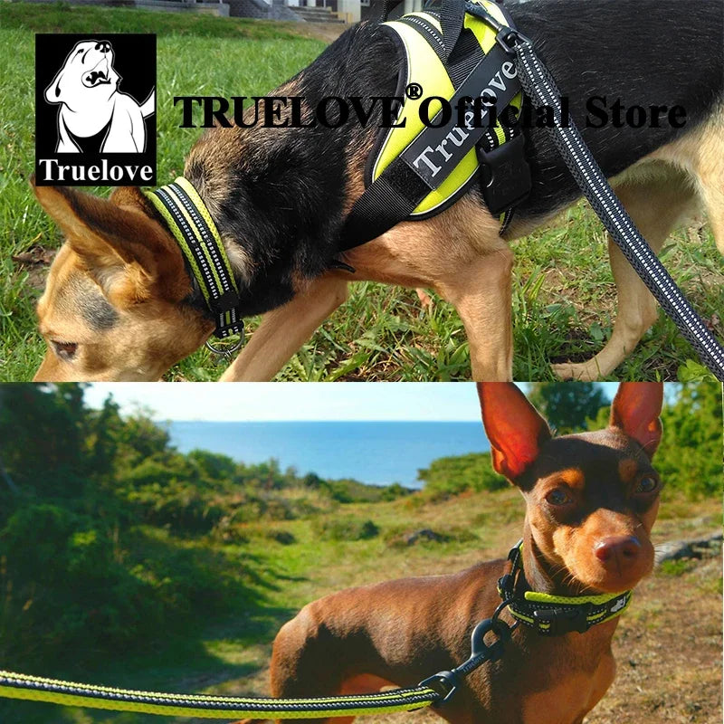 TrueLove Adjustable Nylon Dog Collar Padded Reflective Heavy Duty Webbing
