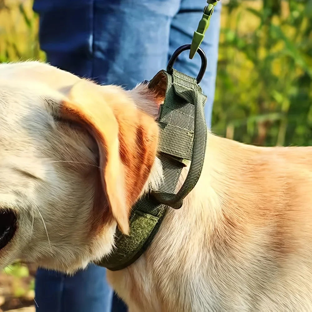 Breathable Padded Tactical Dog Harness And Nylon Collar Set
