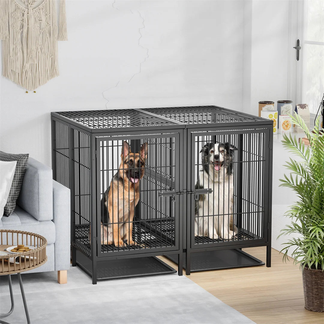 Bingopaw Double Metal Dog Cage Kennel With Removable Divider