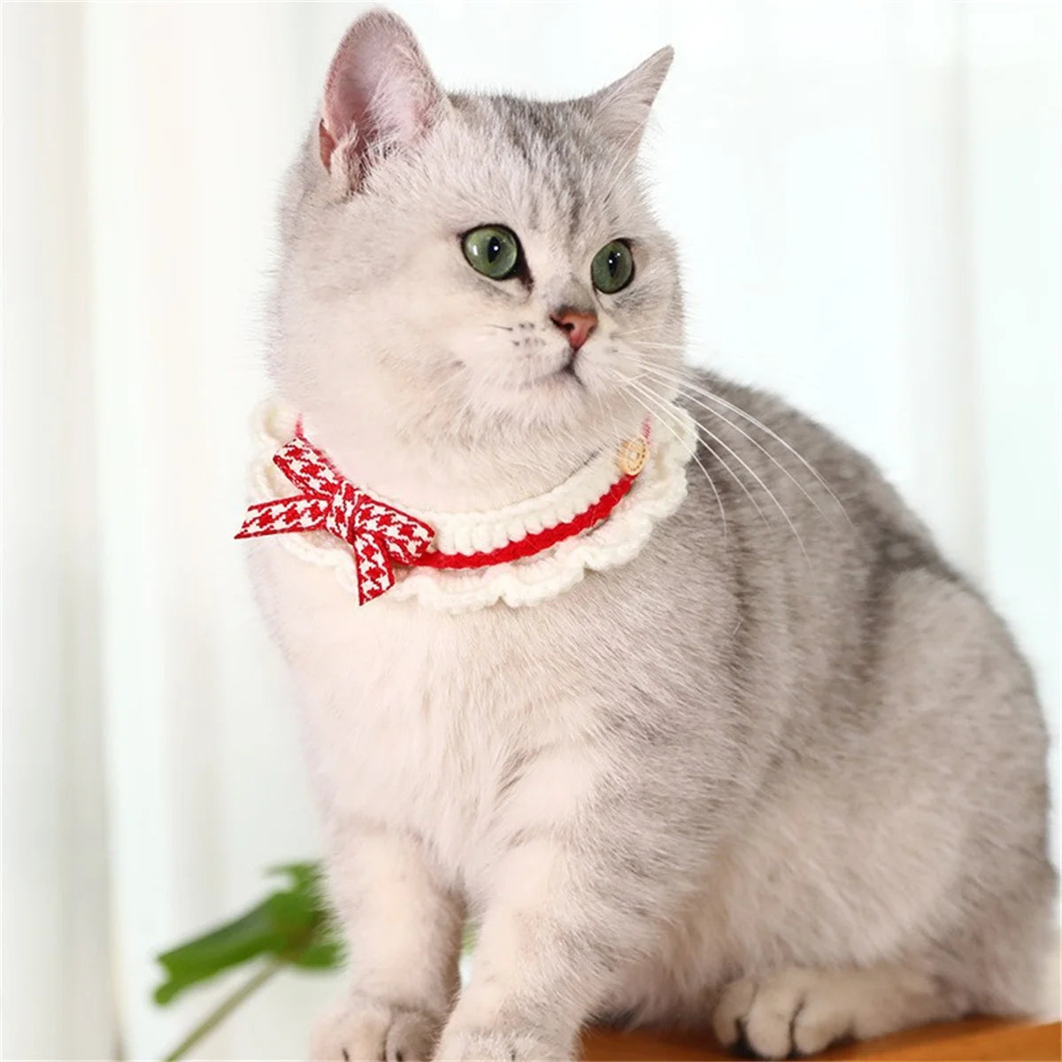 Adjustable Lace Bow Knot Knitted Pet Collar For Cats And Dogs