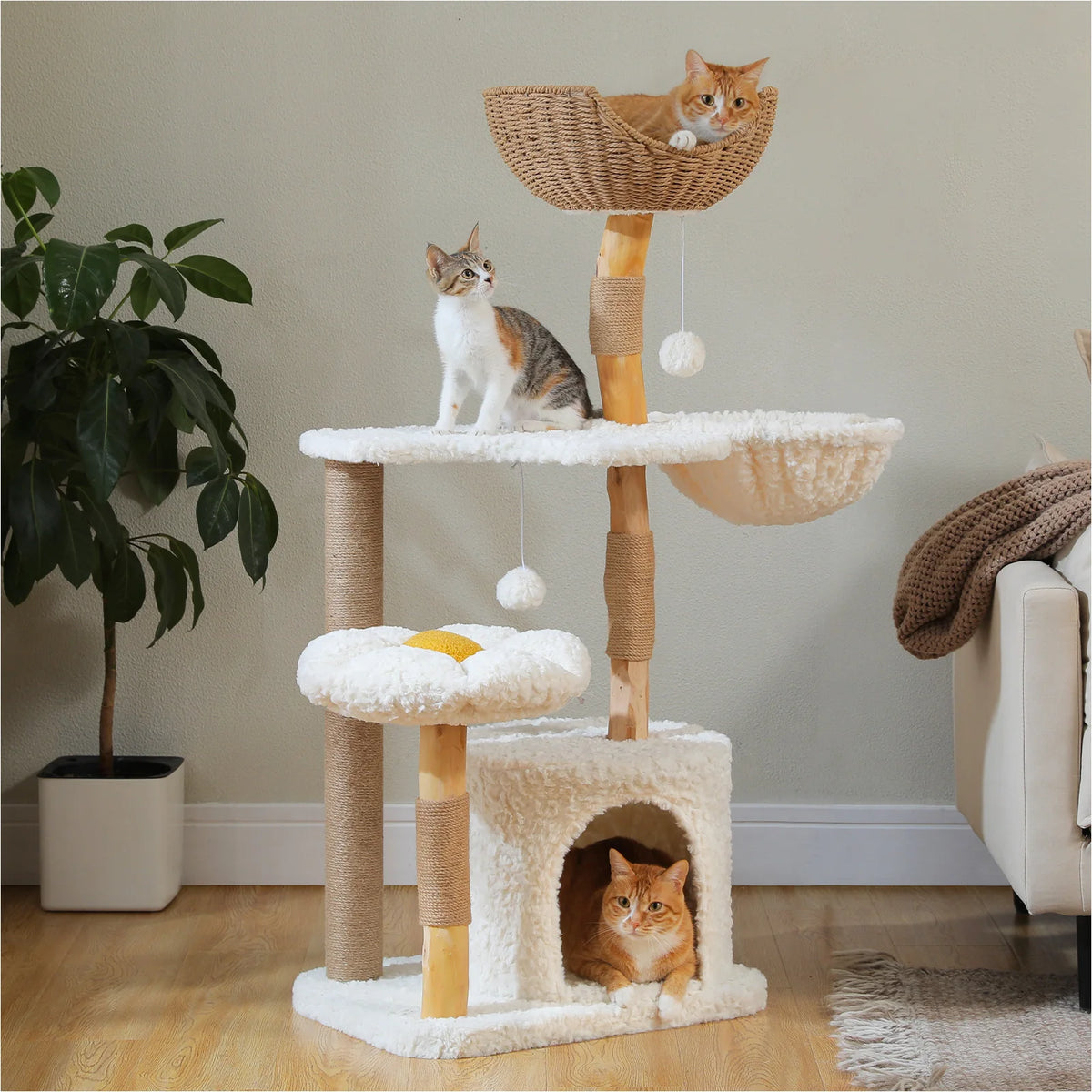 PAWZ Road Modern Cat Tree With Solid Wood Base And Hammock