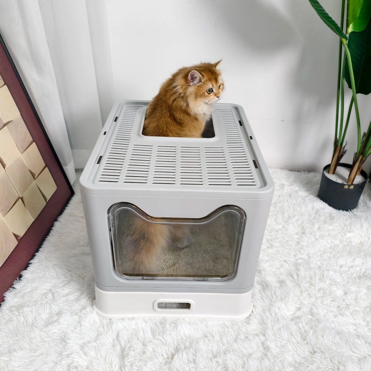 Totally Enclosed Cat Litter Box With Lid Scoop For Pets