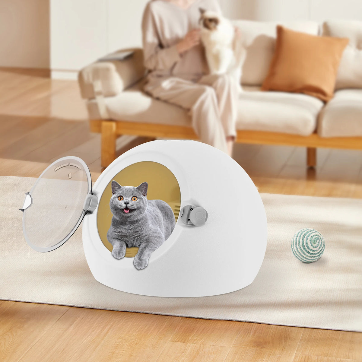 Professional Portable 600W Pet Dryer Box For Dogs And Cats