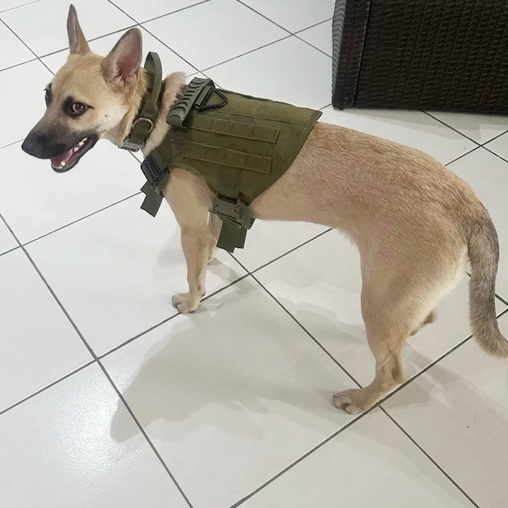 Breathable Padded Tactical Dog Harness And Nylon Collar Set