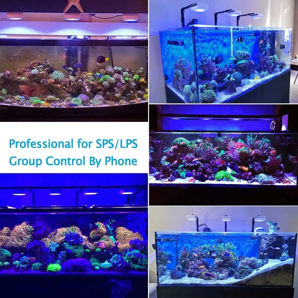 PopBloom RL90 WiFi LED Aquarium Light For Saltwater Reef
