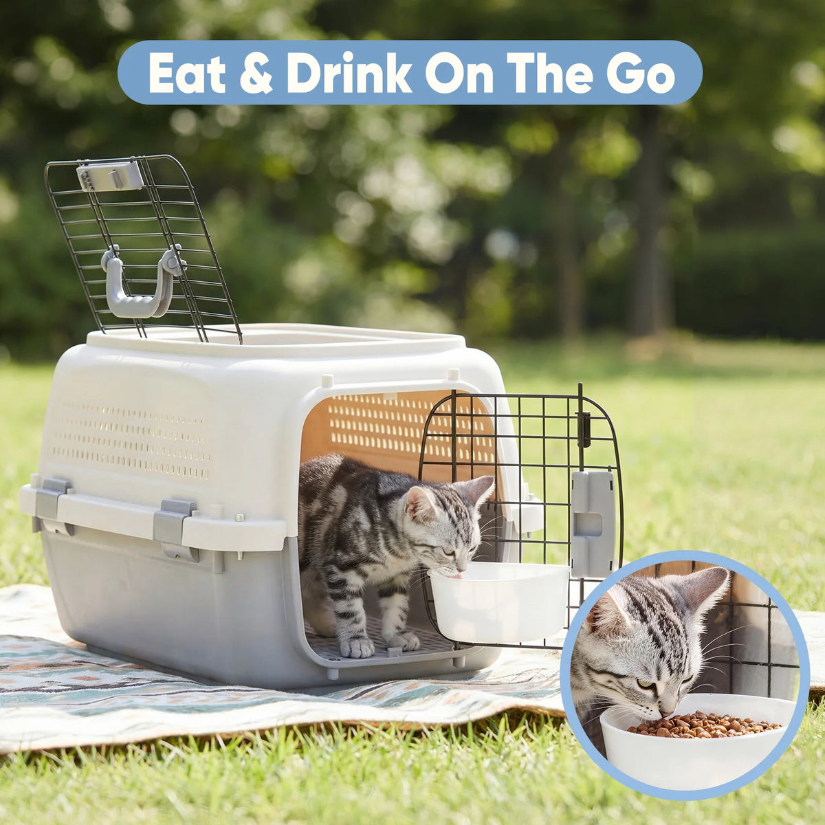 Secure Pet Travel Carrier For Small Pets With Safety Locks