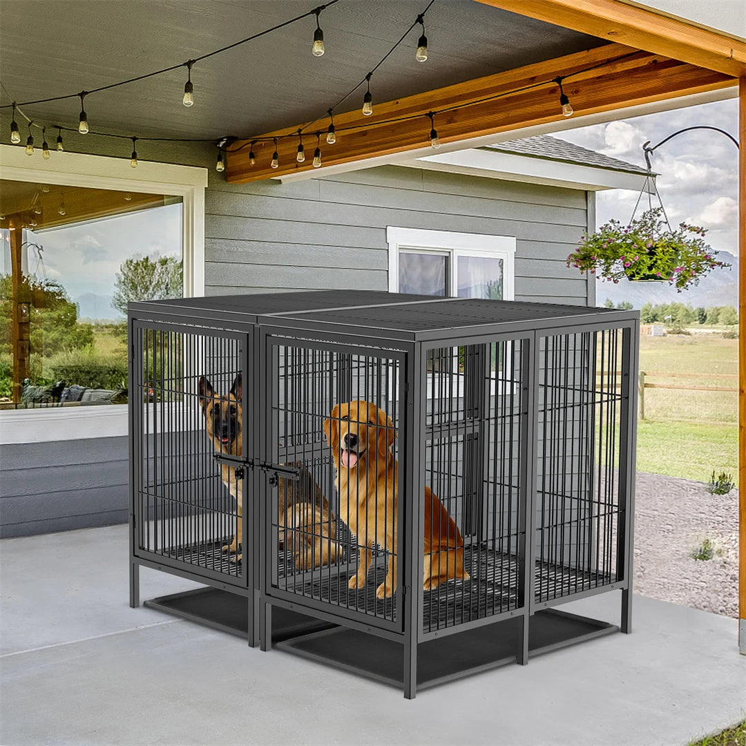 Bingopaw Double Metal Dog Cage Kennel With Removable Divider